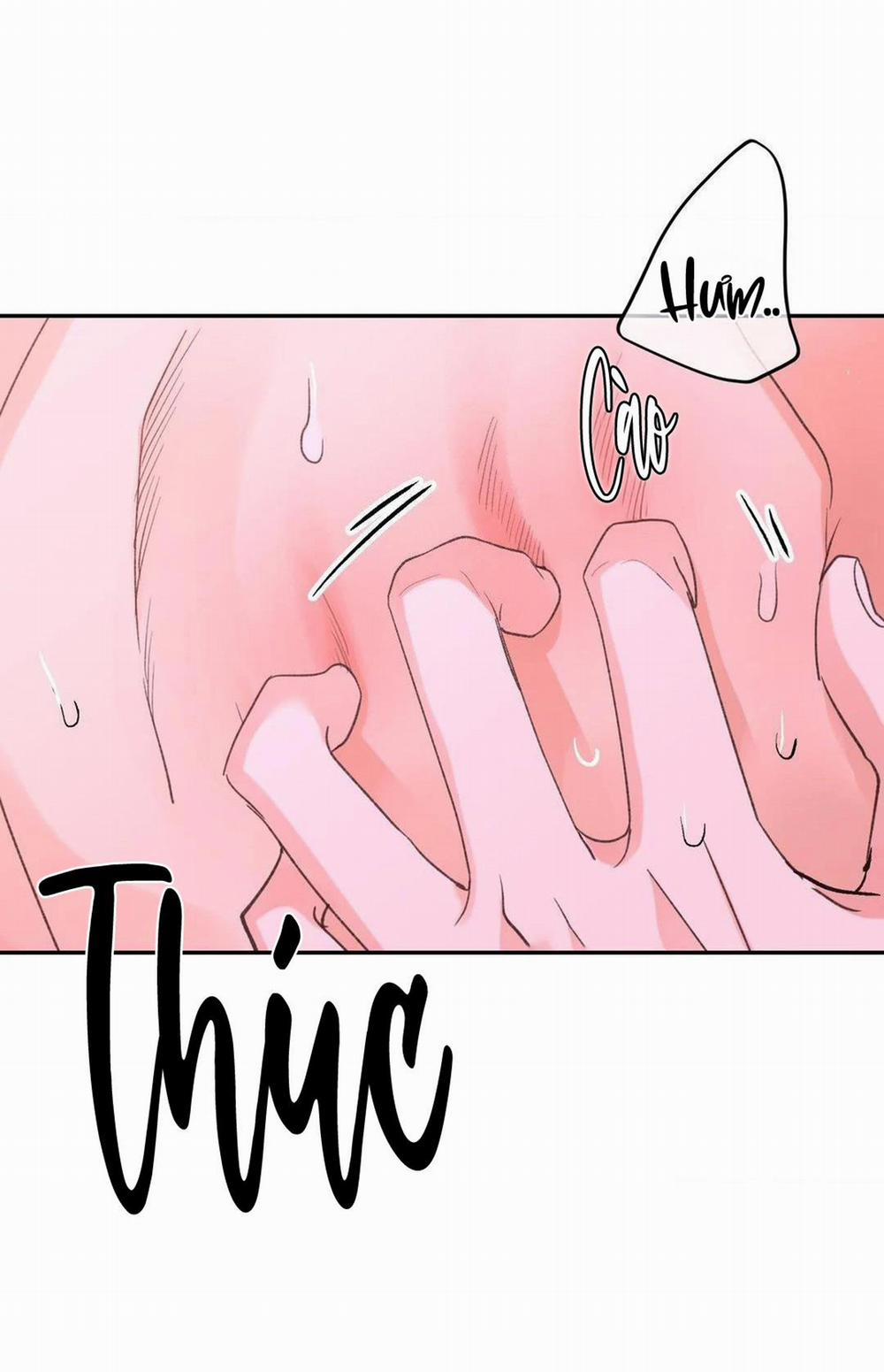 Chiếc Lá Lay Động Theo Giai Điệu 11 trang 23