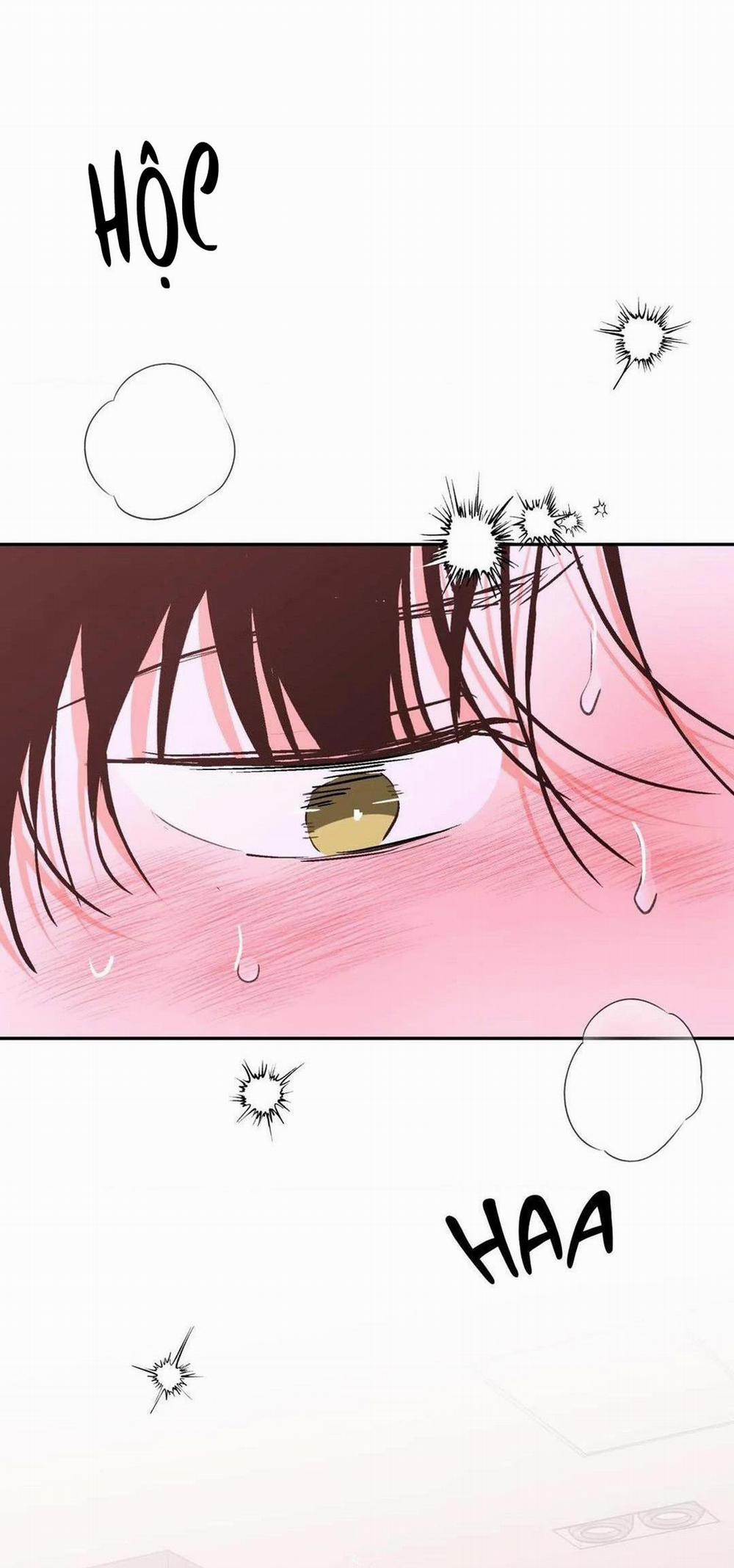 Chiếc Lá Lay Động Theo Giai Điệu 11 trang 26