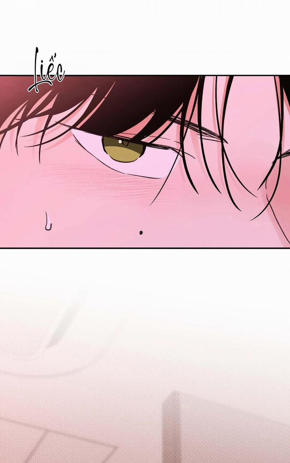 Chiếc Lá Lay Động Theo Giai Điệu 11 trang 5