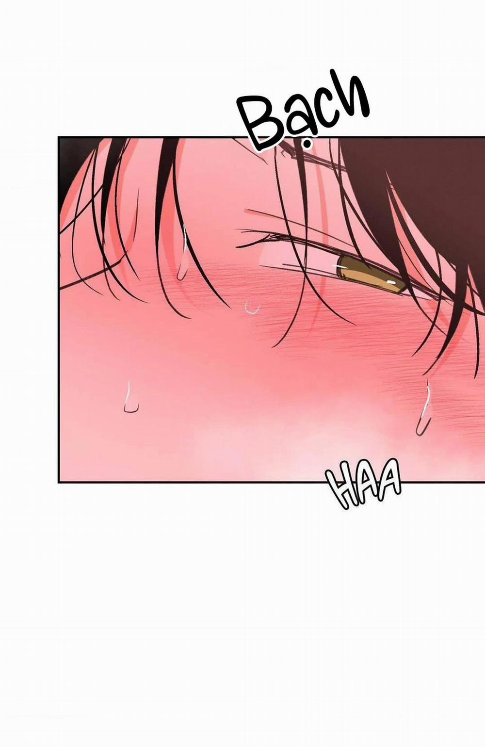 Chiếc Lá Lay Động Theo Giai Điệu 13 trang 10