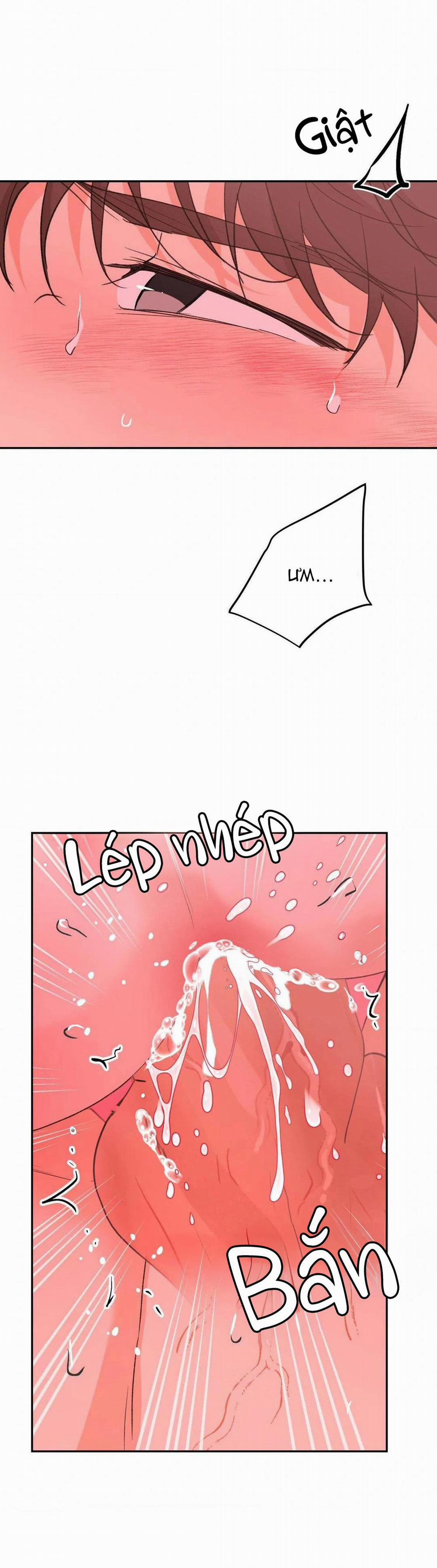 Chiếc Lá Lay Động Theo Giai Điệu 13 trang 23