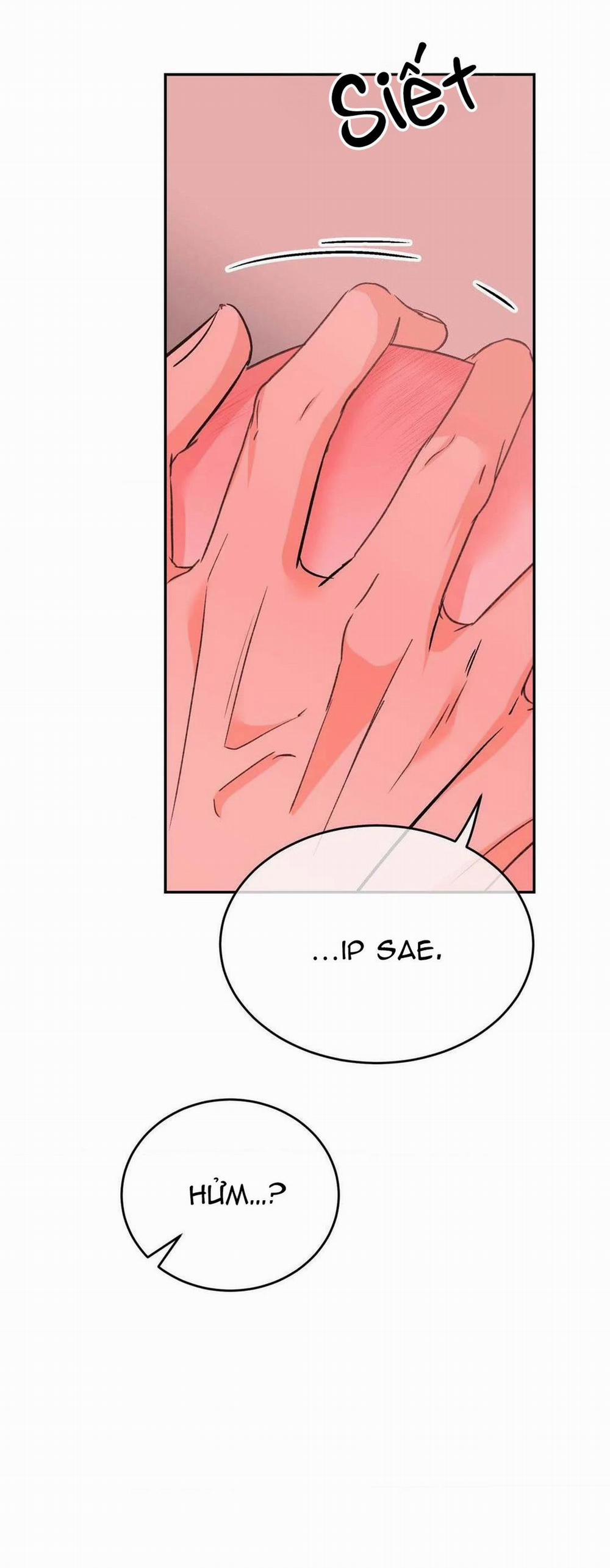 Chiếc Lá Lay Động Theo Giai Điệu 13 trang 28