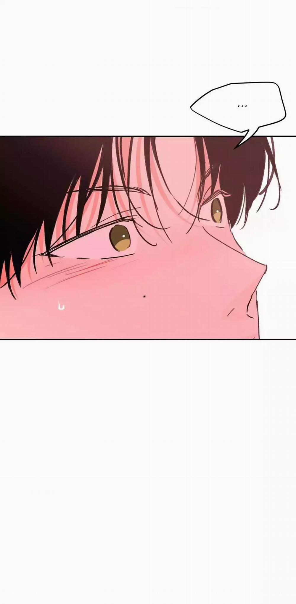 Chiếc Lá Lay Động Theo Giai Điệu 14 trang 19