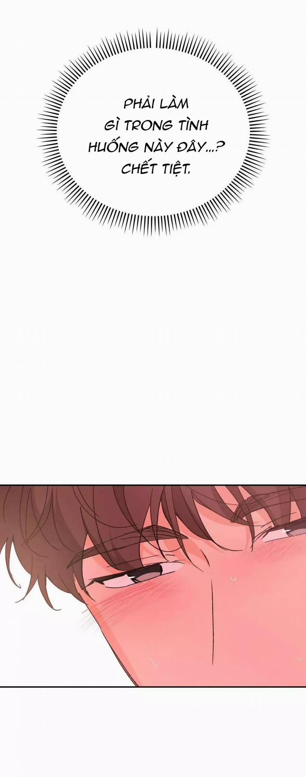 Chiếc Lá Lay Động Theo Giai Điệu 14 trang 5