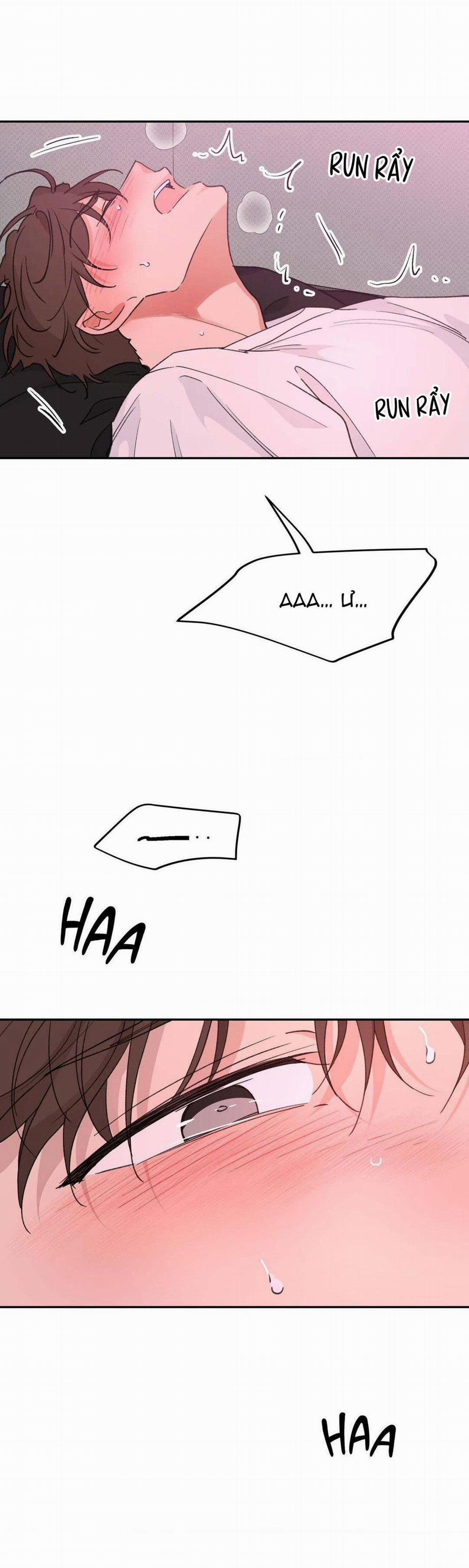 Chiếc Lá Lay Động Theo Giai Điệu 6 trang 15