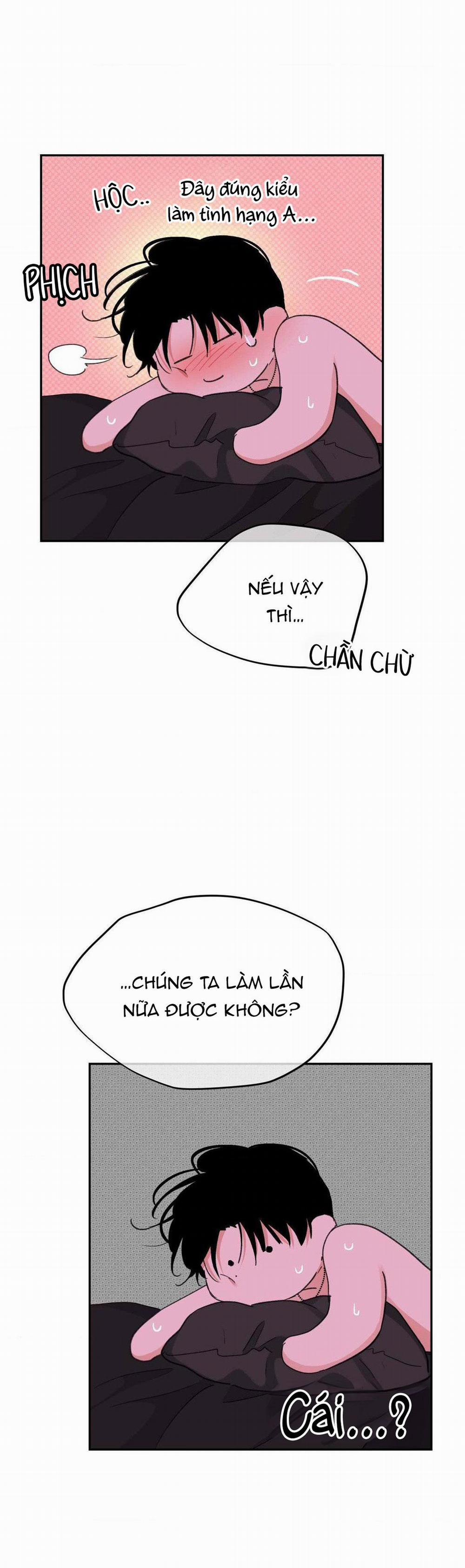 Chiếc Lá Lay Động Theo Giai Điệu 7 trang 17