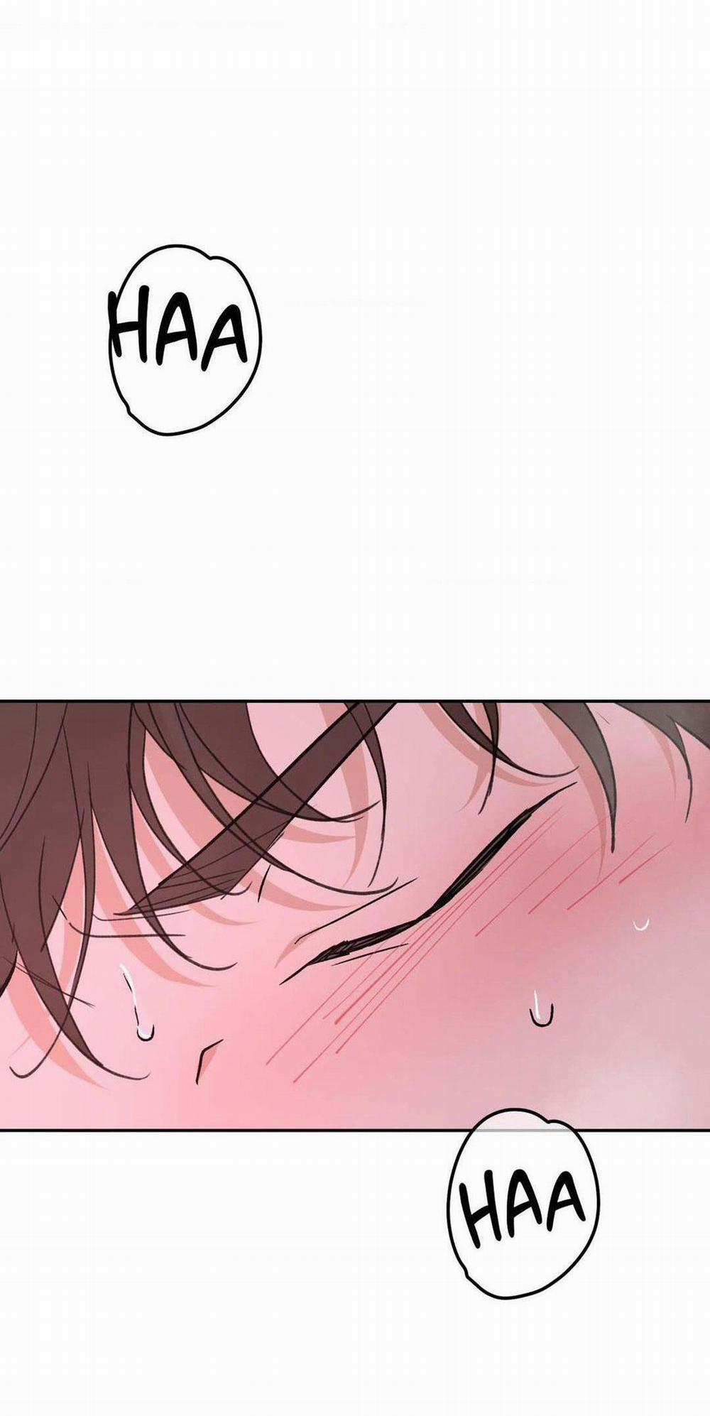 Chiếc Lá Lay Động Theo Giai Điệu 8 trang 40