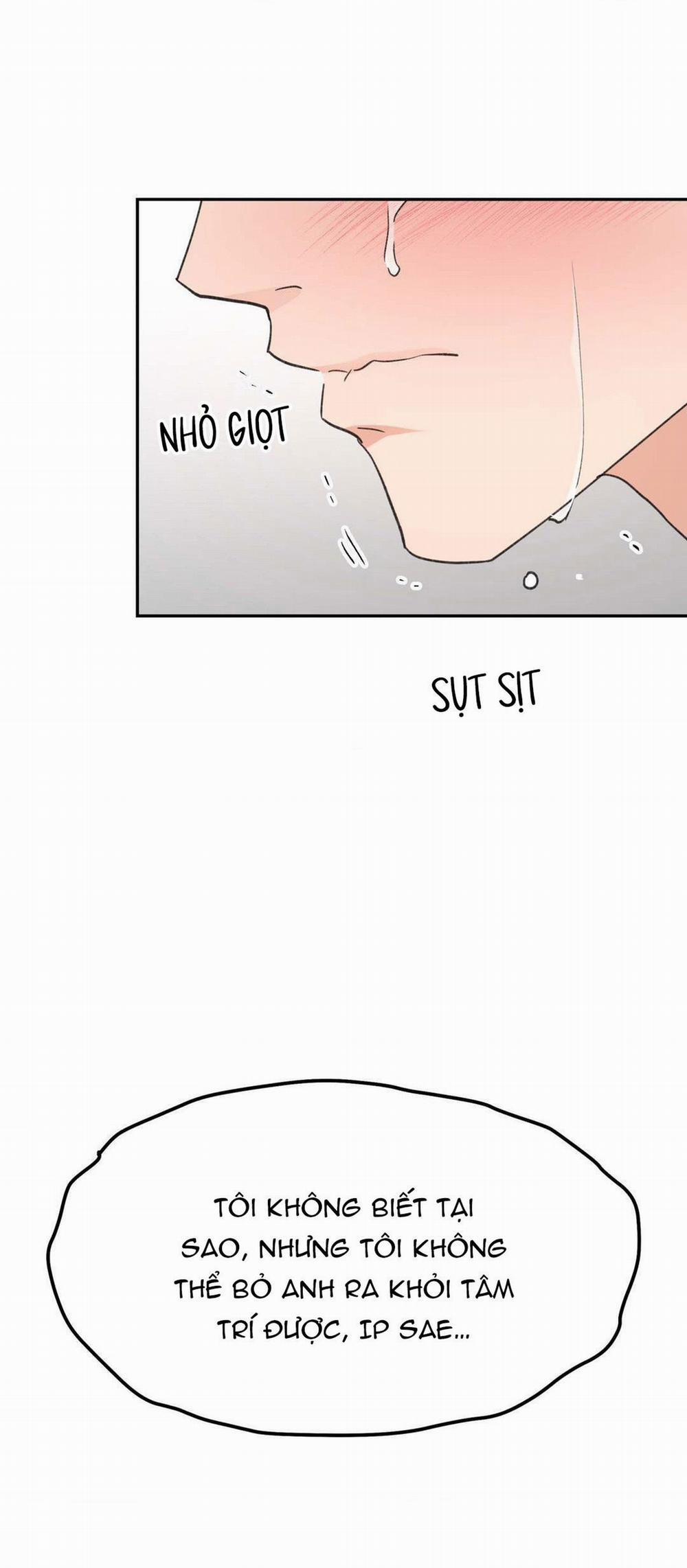 Chiếc Lá Lay Động Theo Giai Điệu 9 trang 14