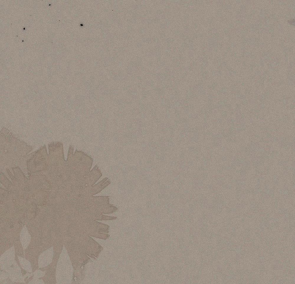 Chiếm Đoạt Ánh Trăng 23 trang 19