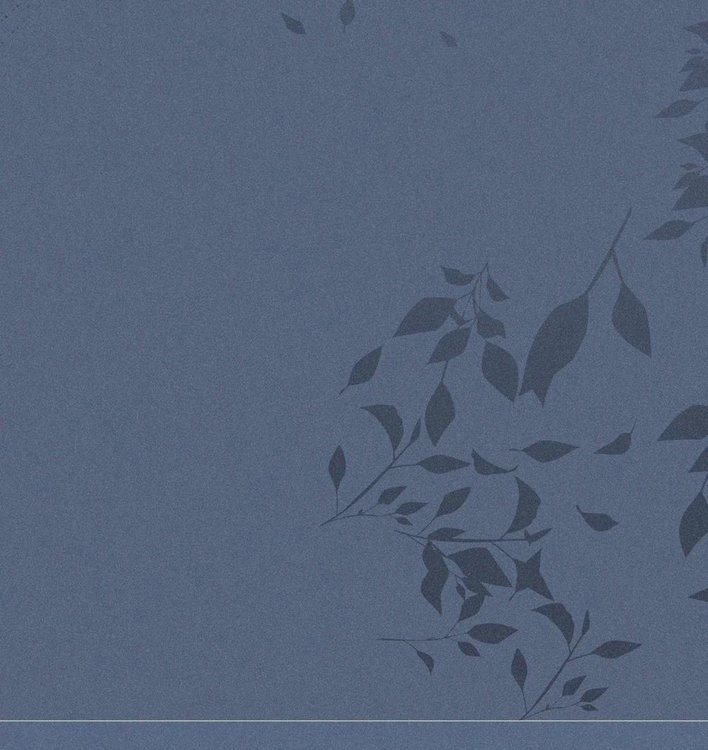 Chiếm Đoạt Ánh Trăng 24 trang 11