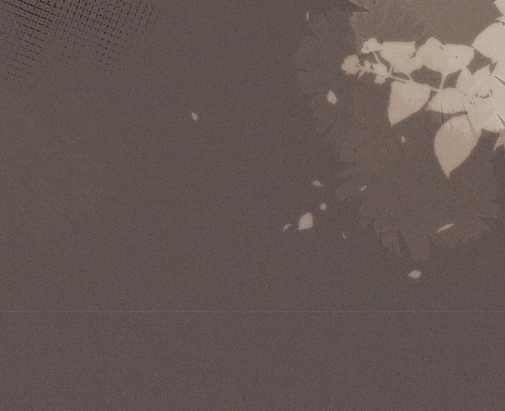 Chiếm Đoạt Ánh Trăng 24 trang 25