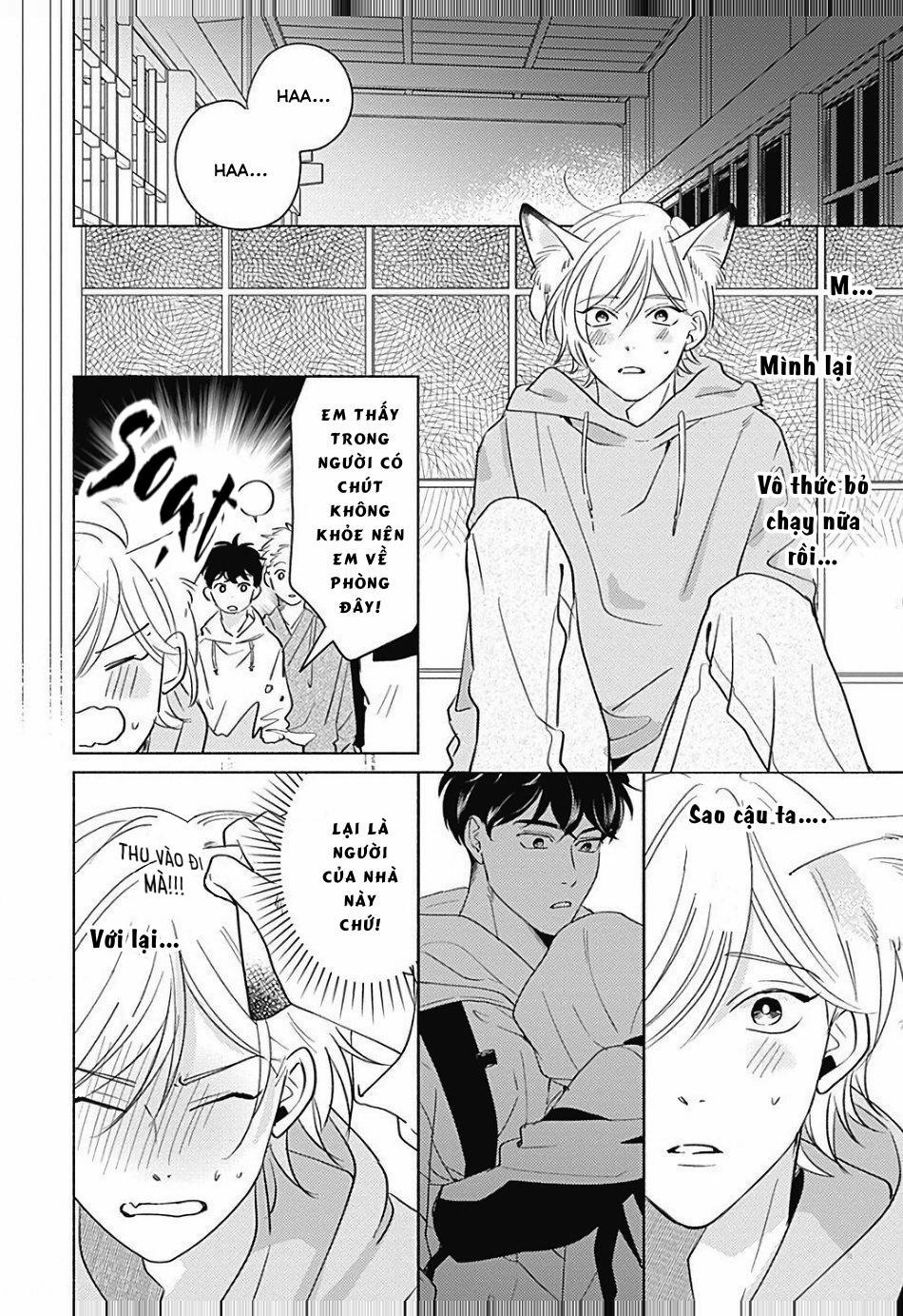 Chiếm Hữu Bởi Linh Hồn Cáo 1 trang 22