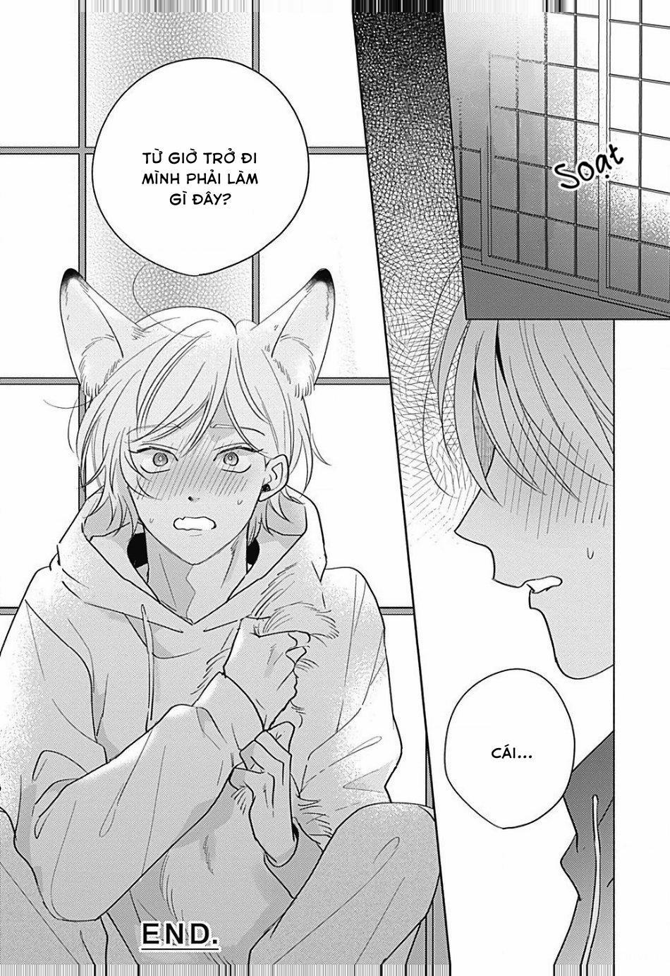 Chiếm Hữu Bởi Linh Hồn Cáo 1 trang 35