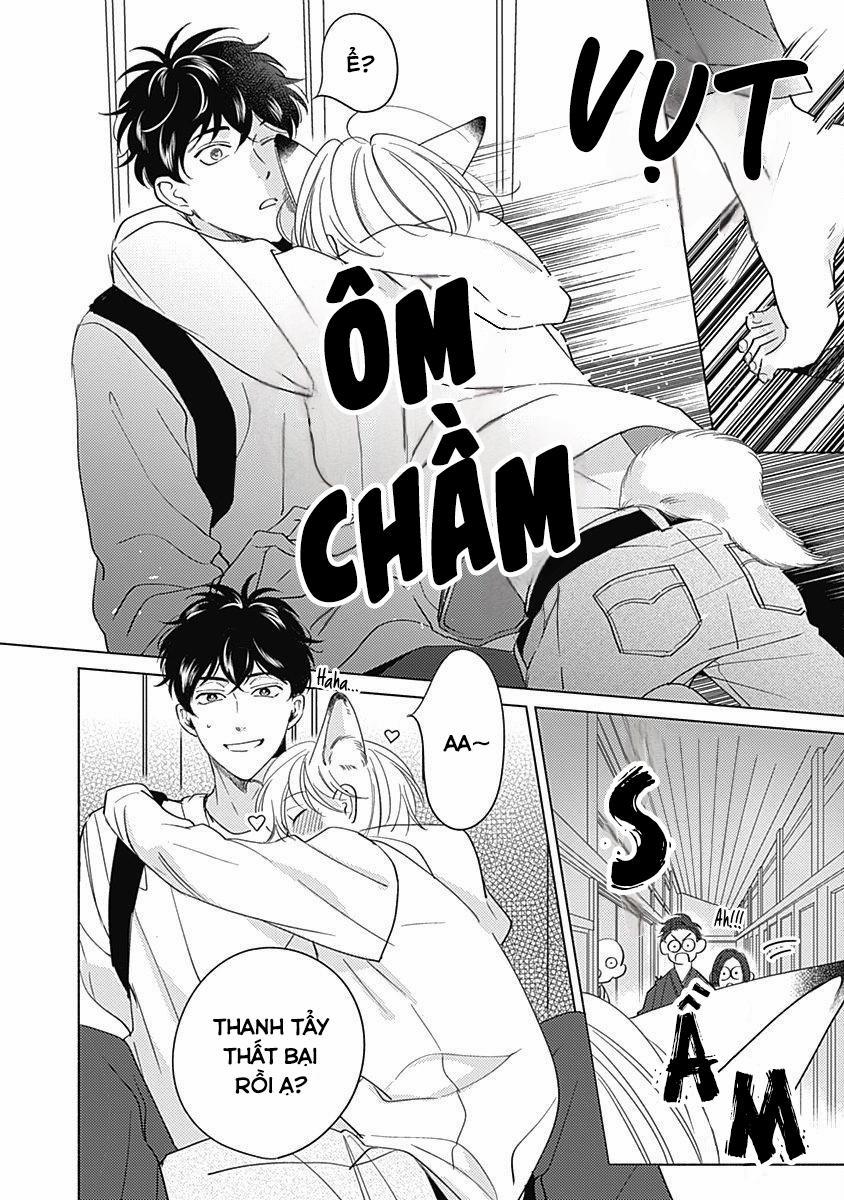 Chiếm Hữu Bởi Linh Hồn Cáo 2 trang 2