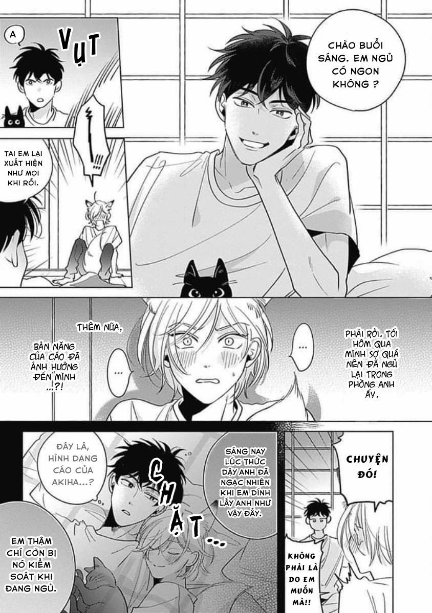 Chiếm Hữu Bởi Linh Hồn Cáo 3 trang 4