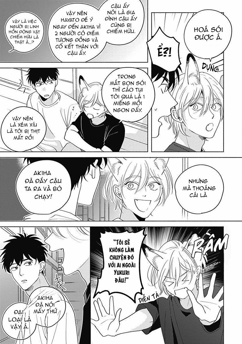 Chiếm Hữu Bởi Linh Hồn Cáo 4 trang 15