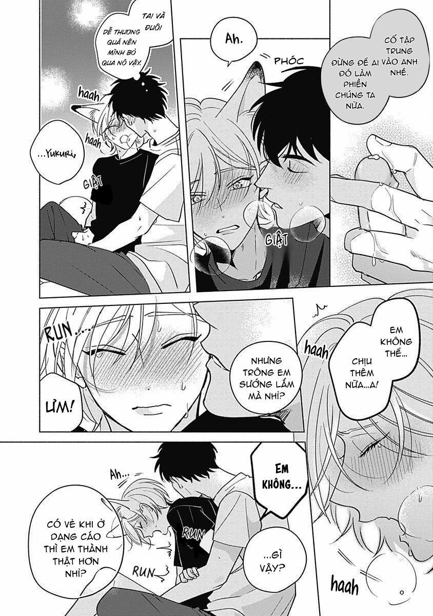 Chiếm Hữu Bởi Linh Hồn Cáo 5.5 trang 10