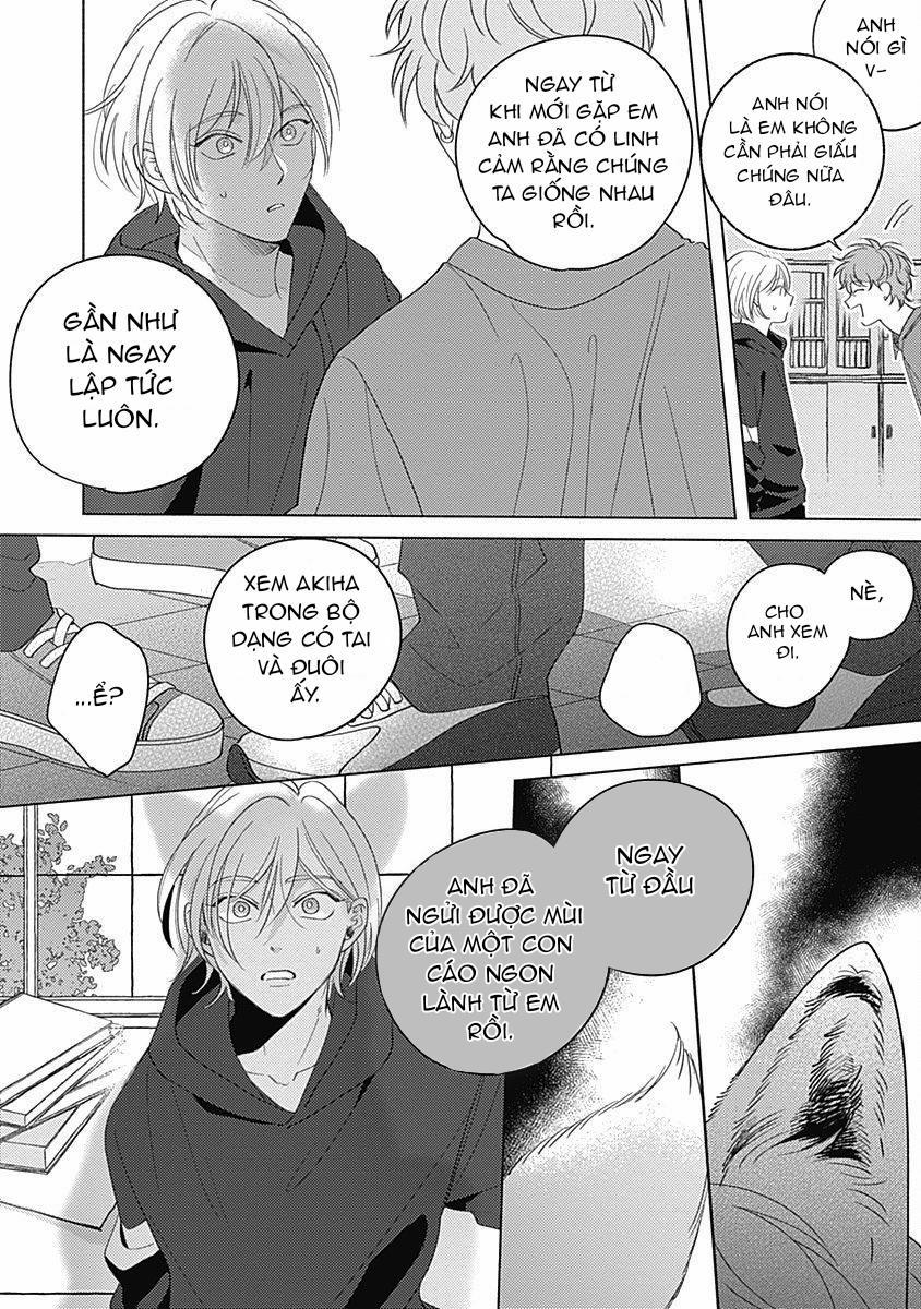 Chiếm Hữu Bởi Linh Hồn Cáo 5 trang 2