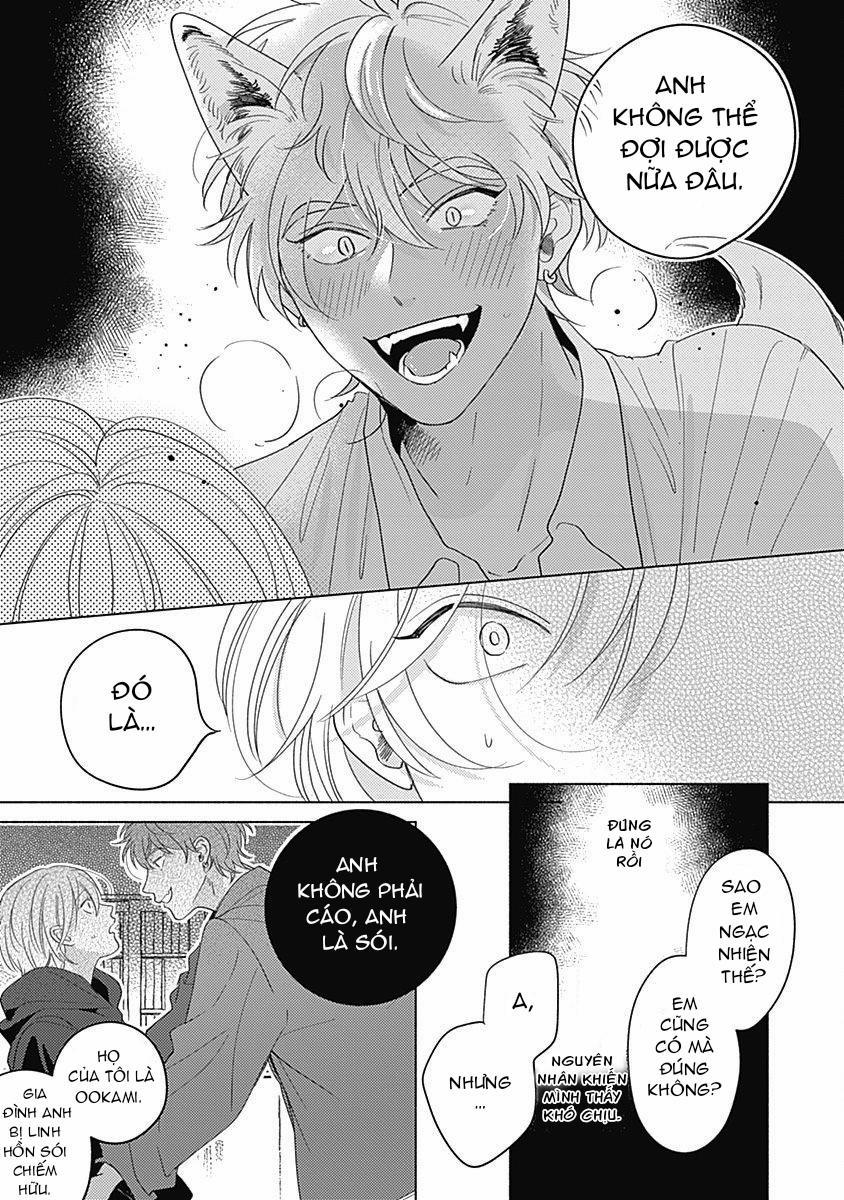 Chiếm Hữu Bởi Linh Hồn Cáo 5 trang 3