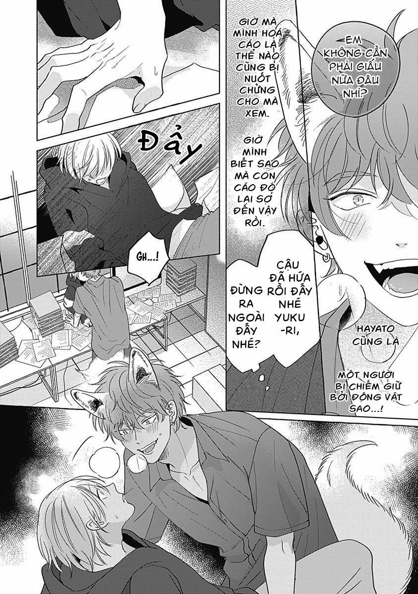 Chiếm Hữu Bởi Linh Hồn Cáo 5 trang 4