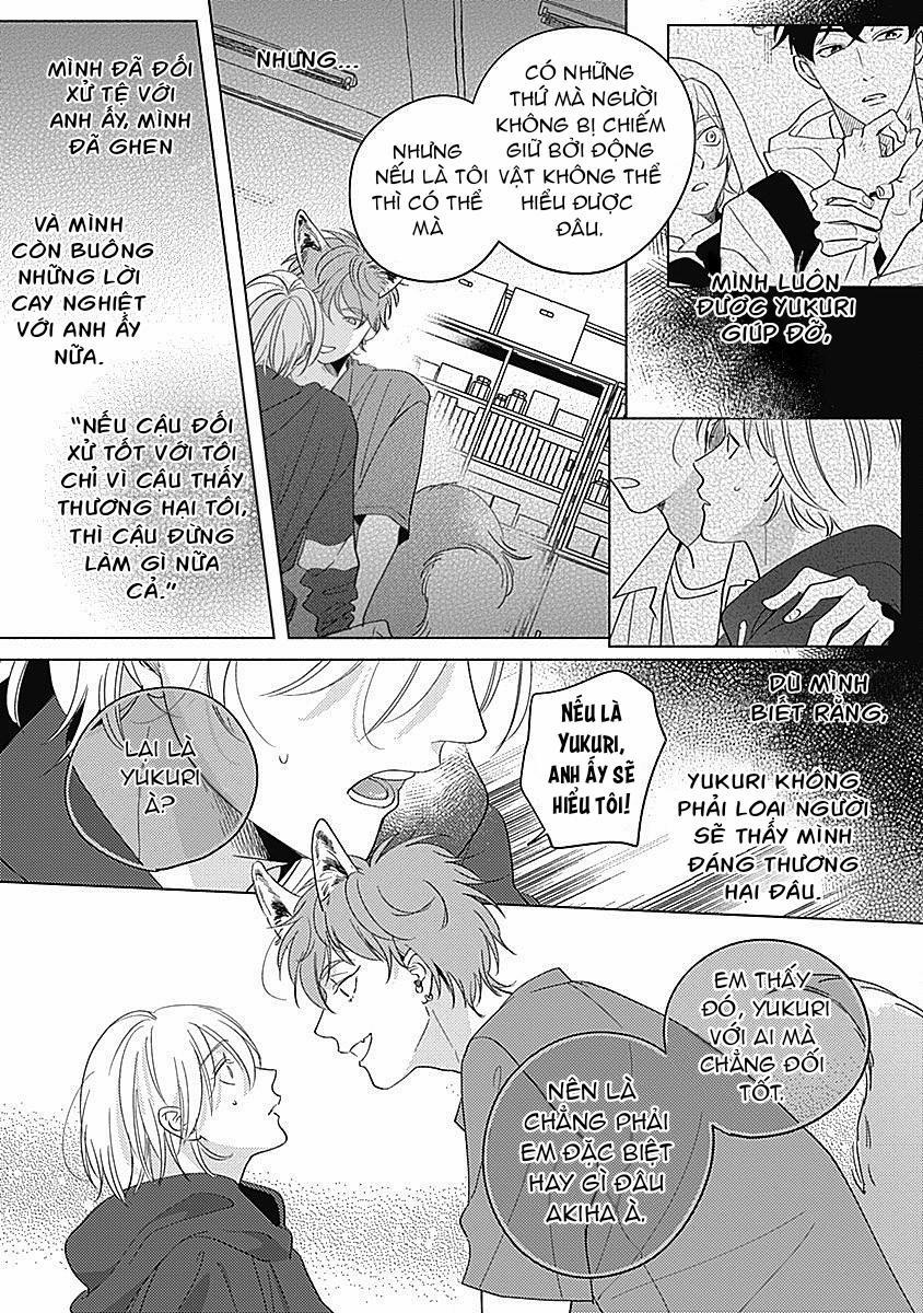 Chiếm Hữu Bởi Linh Hồn Cáo 5 trang 6