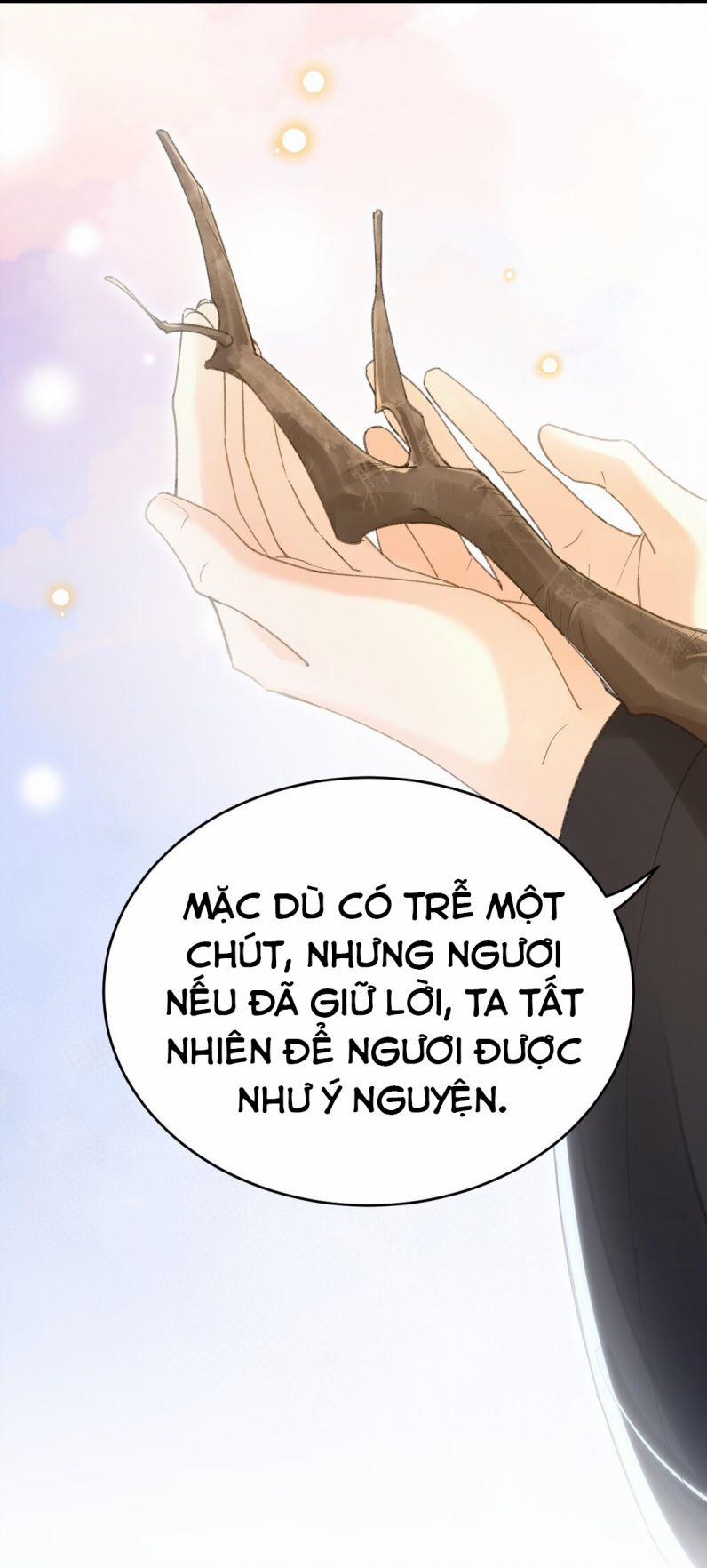 Chiết Chi 10 trang 45