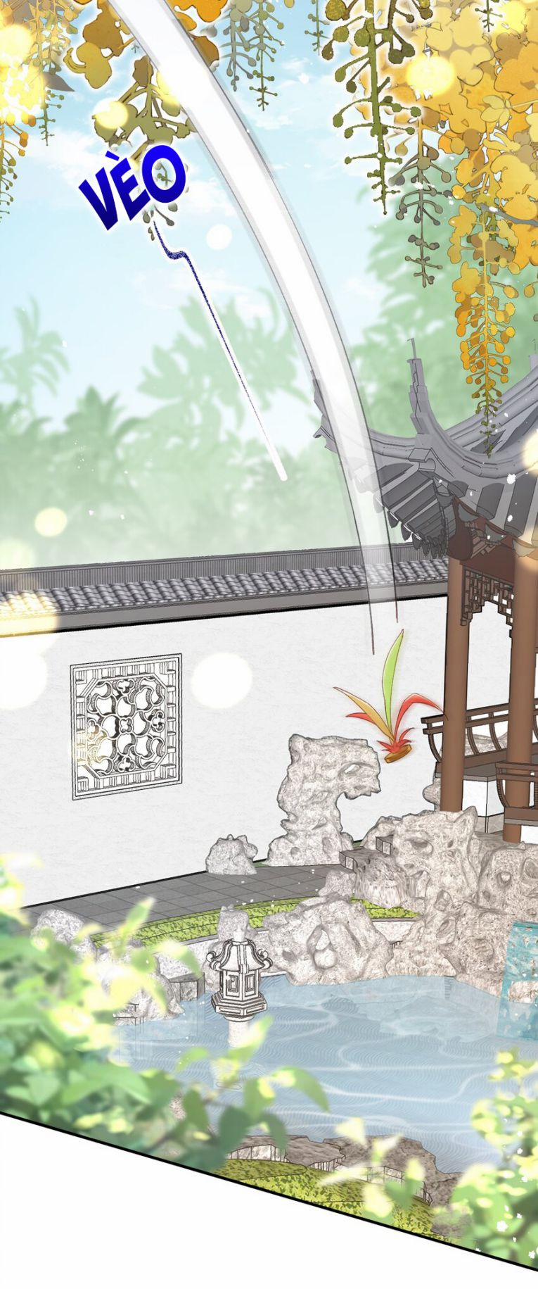 Chiết Chi 11 trang 28