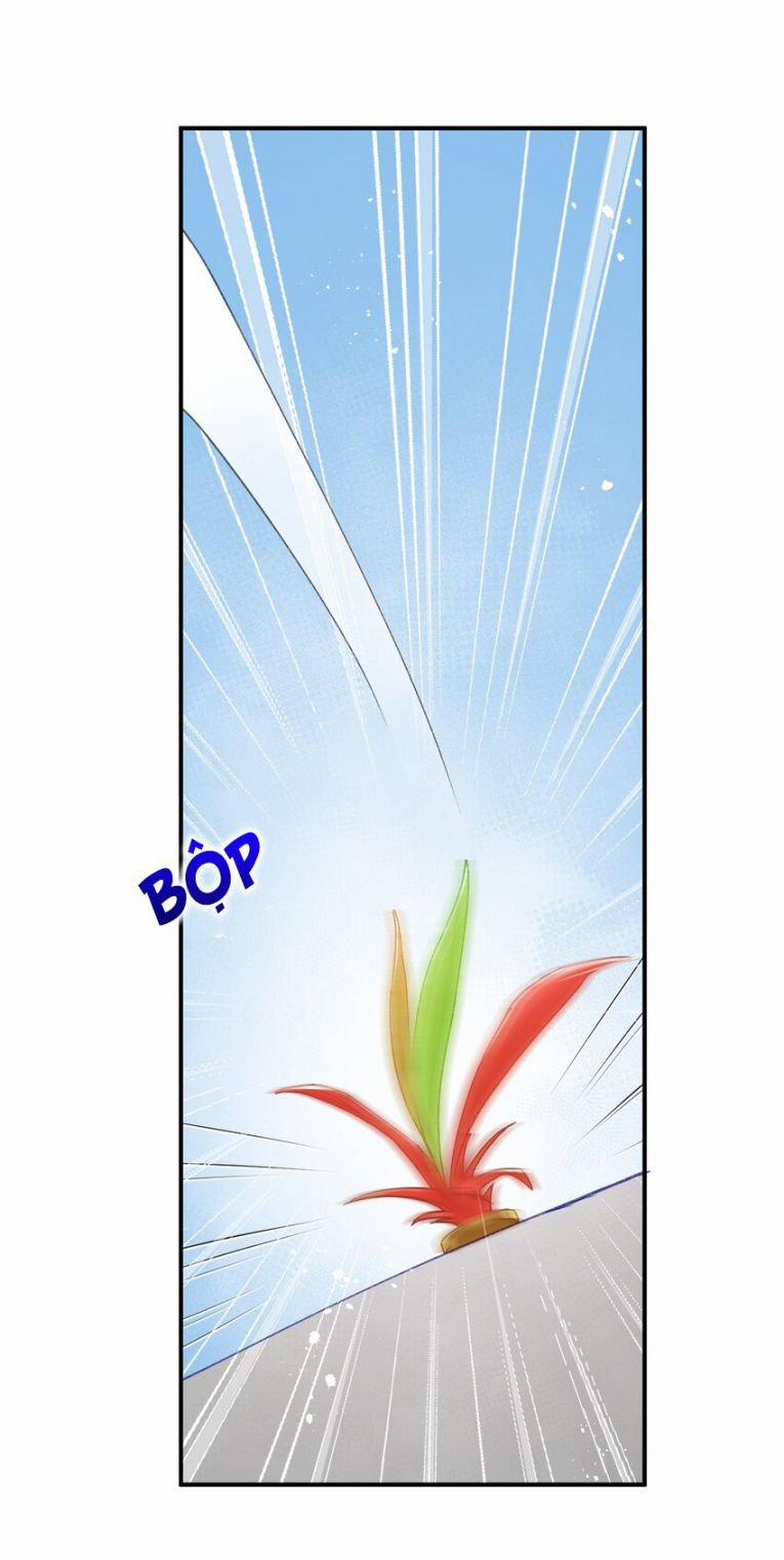 Chiết Chi 11 trang 33