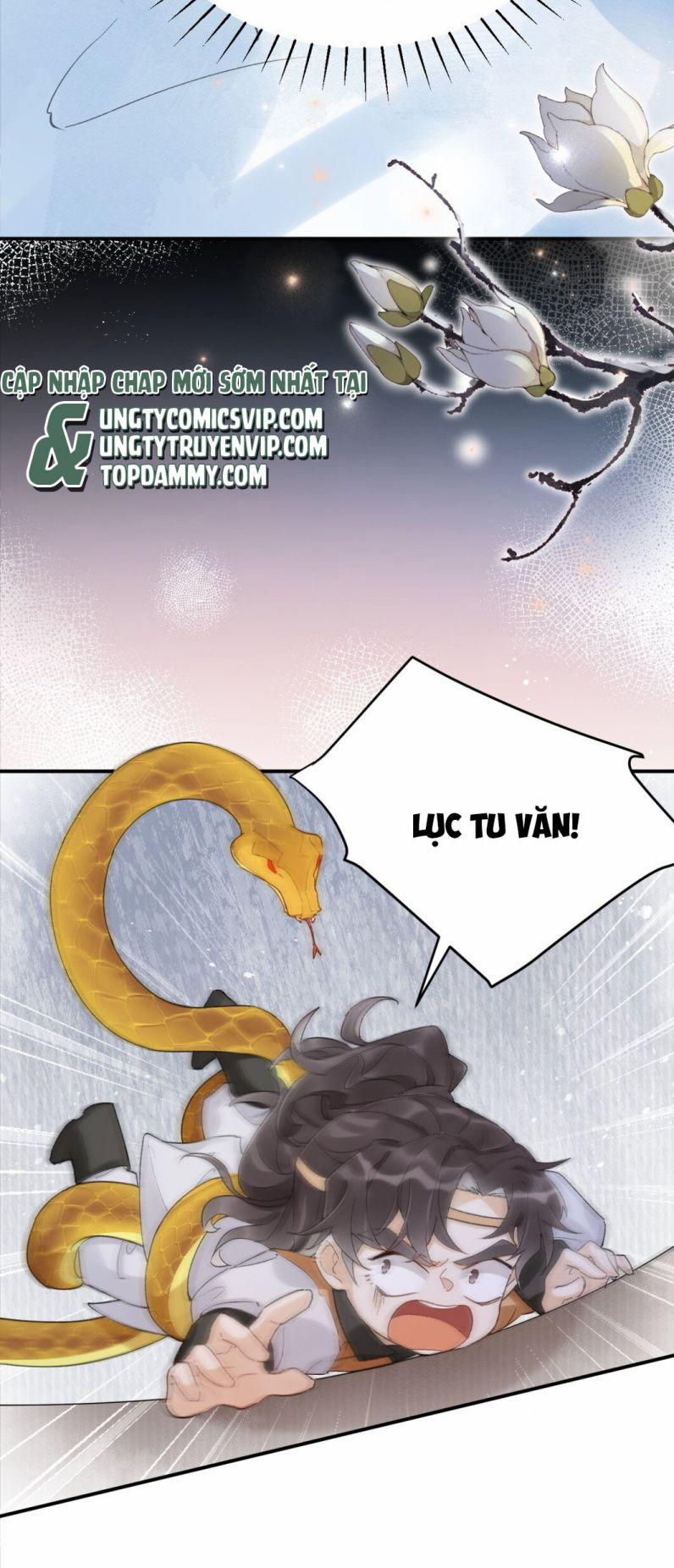 Chiết Chi 4 trang 21