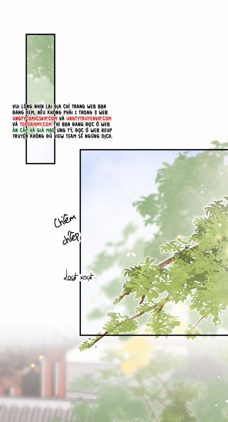 Chiết Chi 5 trang 13