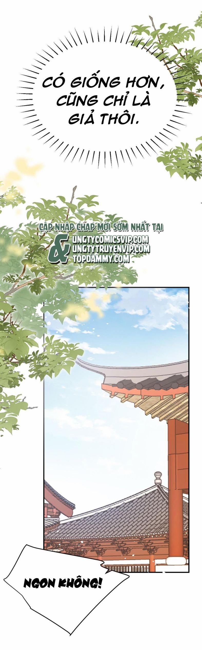 Chiết Chi 7 trang 11