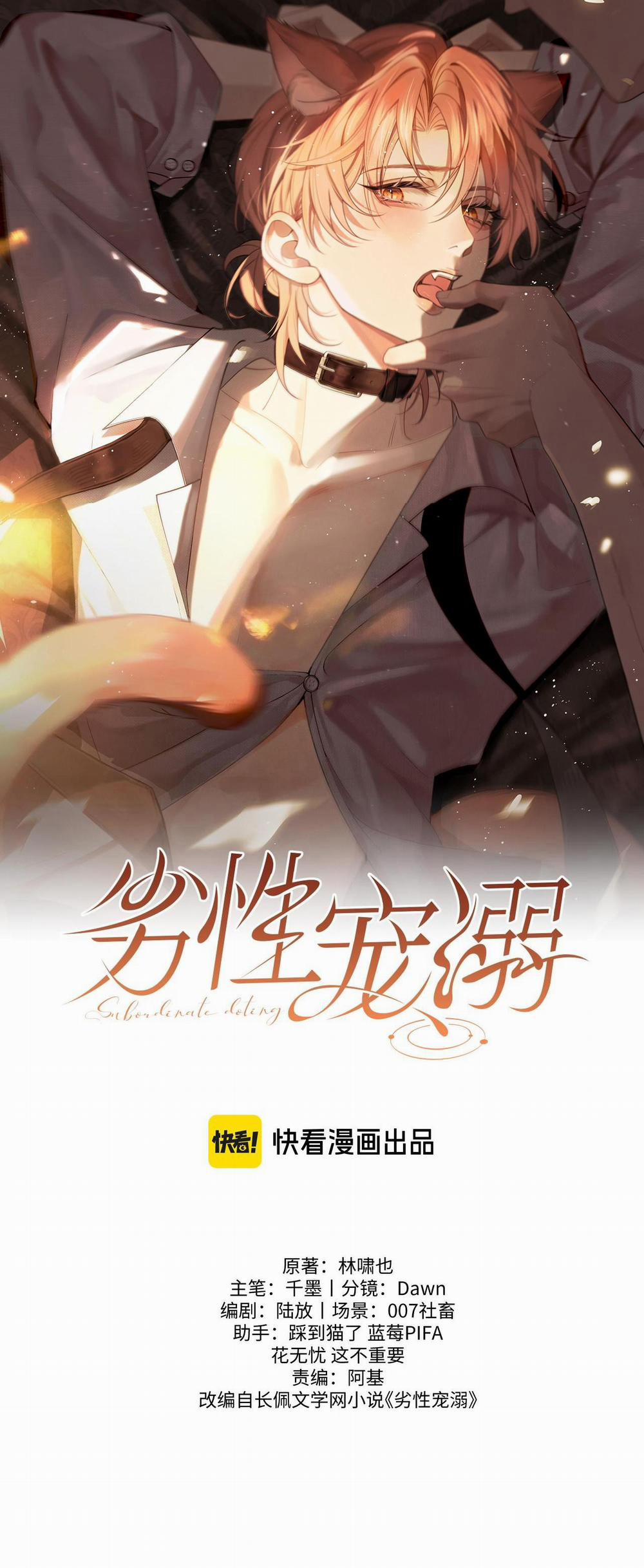 Chiều hư 11 trang 0