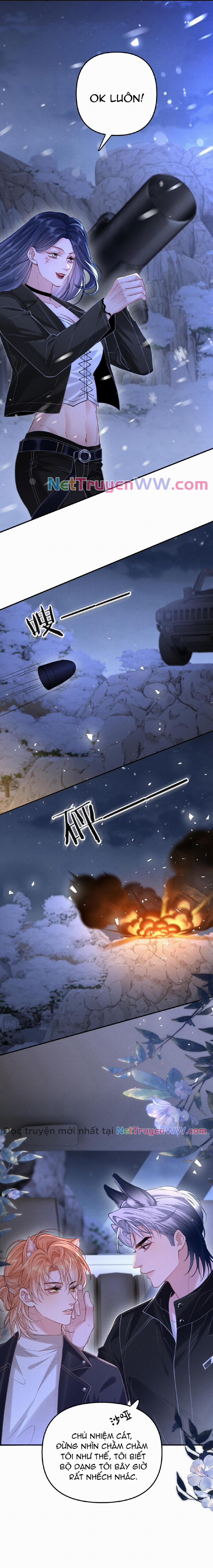 Chiều hư 11 trang 11