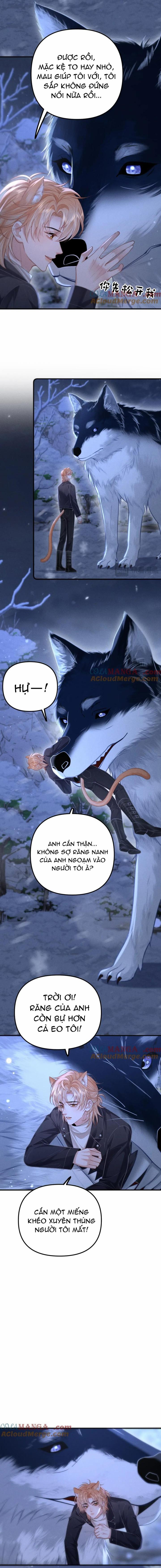 Chiều hư 15 trang 1