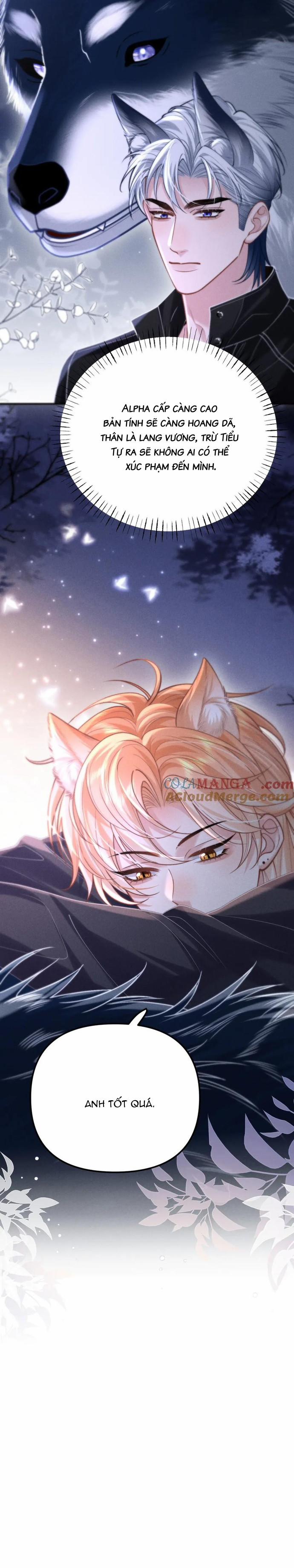 Chiều hư 16 trang 8