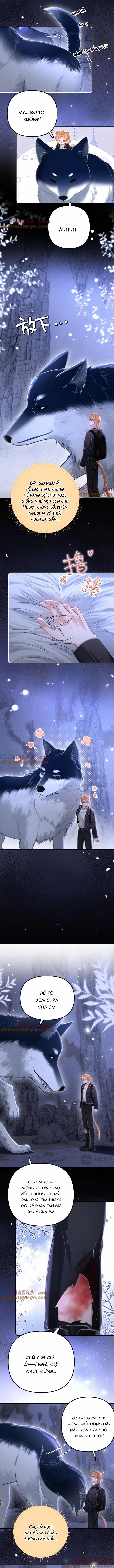 Chiều hư 17 trang 1