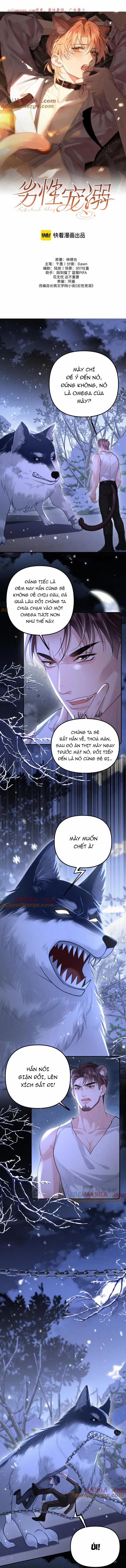 Chiều hư 20 trang 0