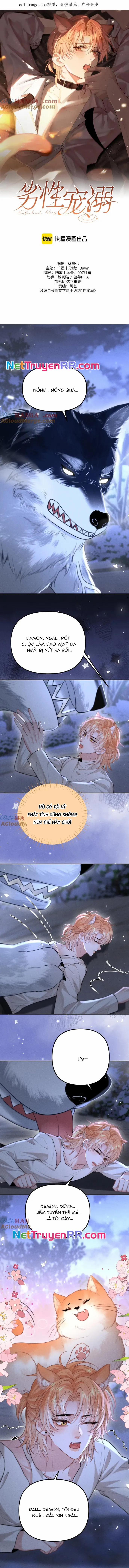 Chiều hư 22 trang 0