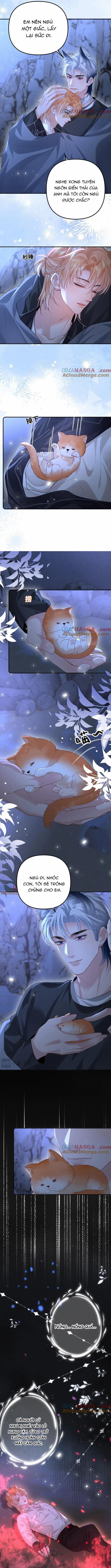 Chiều hư 24 trang 1