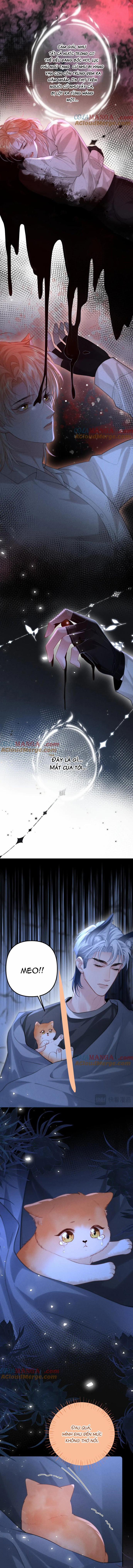 Chiều hư 24 trang 2