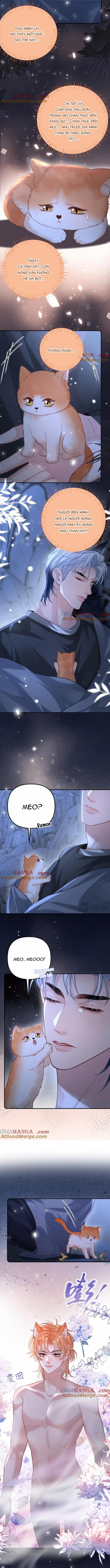 Chiều hư 24 trang 3