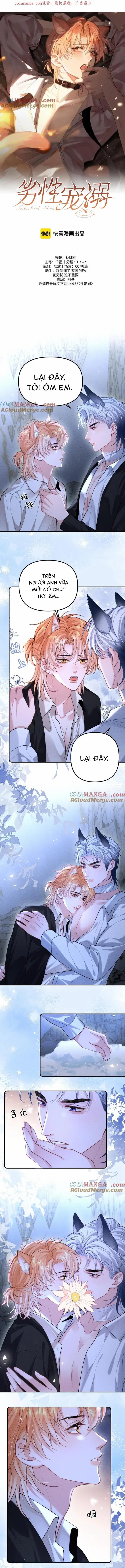 Chiều hư 26 trang 0