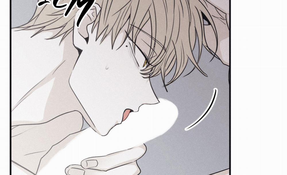 Chiếu Tướng 102 trang 116