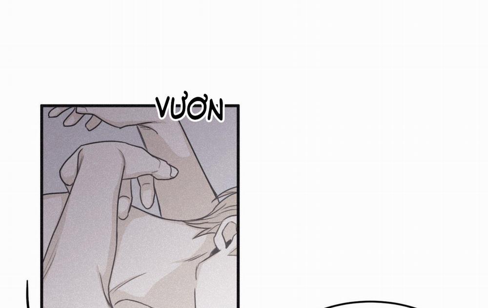 Chiếu Tướng 103 trang 47