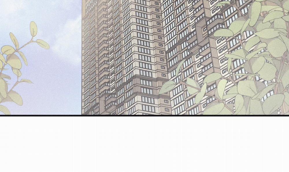 Chiếu Tướng 107 trang 101