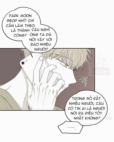 Chiếu Tướng 11 trang 41