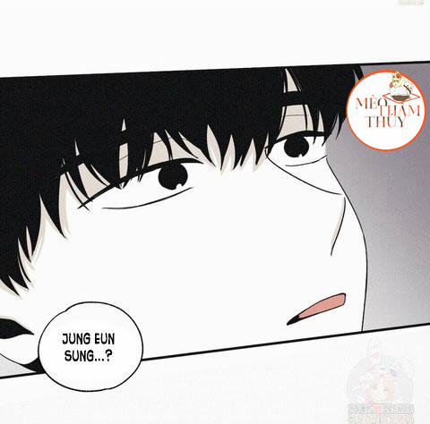 Chiếu Tướng 13 trang 11