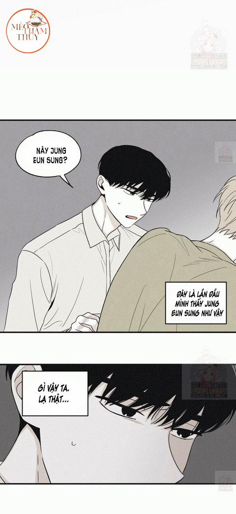 Chiếu Tướng 13 trang 13