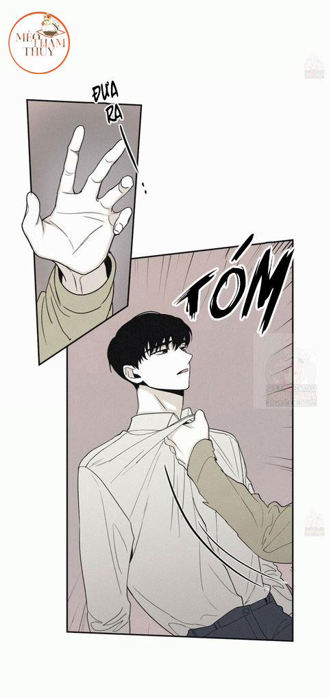 Chiếu Tướng 13 trang 19