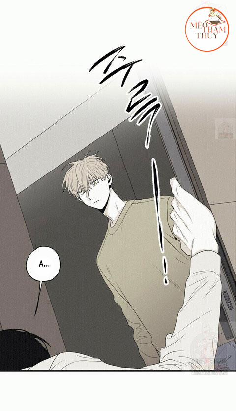 Chiếu Tướng 13 trang 6